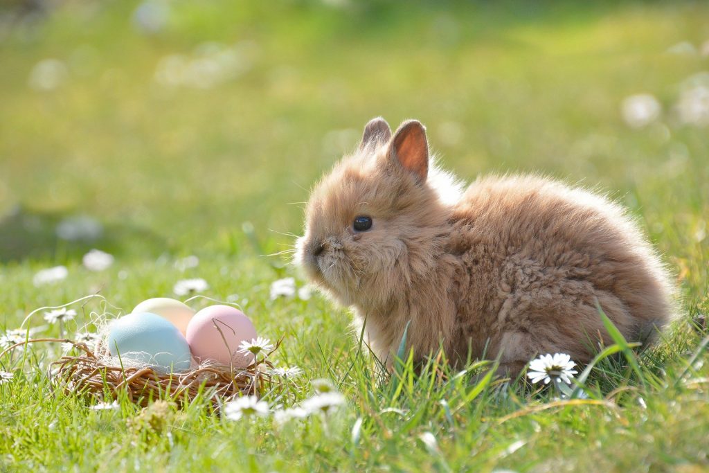 Easter Opening